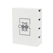 CAJA GAFAS THE COOL BOX