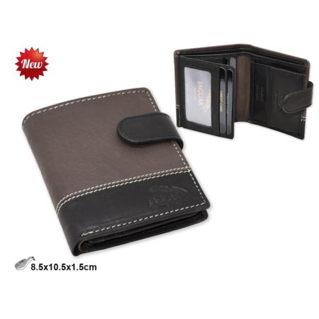 CARTERA CLASICA PIEL BALTIMORE